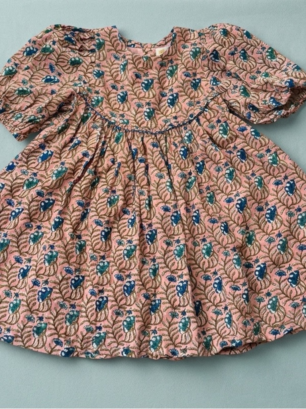 Pink Chicken Pink Floral Print Puff-Sleeve Dress with Blue & Green Accents